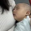 Mẹ Voi Ăn Dặm