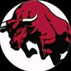 burabull470