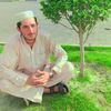 amir.ullah8191