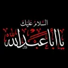 .saddam.algbore