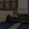 akhi_768