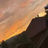 l282828282l