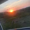 majsttscdv6