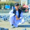 murtaza.amiri953