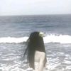 user2110635275818