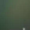 aligeleekoble1