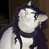 kars_animal
