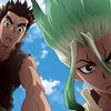 Dr. Stone