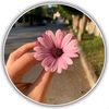 fatima.yasen6