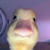 يا مـــــروااااااااااان