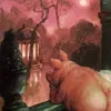 moncat993