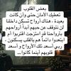 ahmedsaamr2