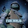 Fan_ninja