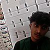 user34701281791354
