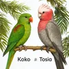 Tosia i Koko
