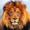 fernando.hernande3735