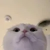 userj8183638196