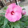 flaquita2928