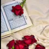 user55028206133321