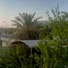 z.o9.0