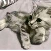 mini_nini09