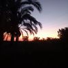 nareen.sh