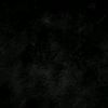 sol_tory497