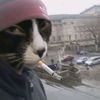 ak.yutip