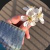 omswiftkeyo4