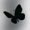 a.p_3.0