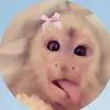 theprivpriv7