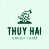 VTNN Thuý Hải
