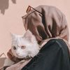 binteashraf03