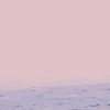 rustamk63