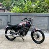 rosa.sa38