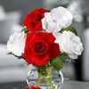 user6181015243107