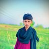 malikbadsah7864