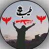 tayab.tayab2845