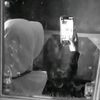 flowers_fat12