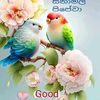 bro001320
