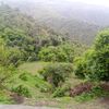 nahinbut