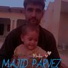 majidparvez166