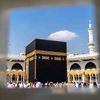user8801511451147