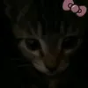 lyavoly3uvbi