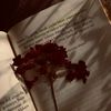 heart.broken688