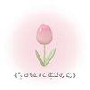 sh_20a06