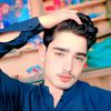 alizamanpitafi7