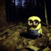 karl_belon0_slif