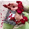 notigirl675