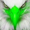 eaglelady151